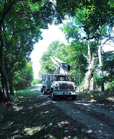Tri-State Tree Service bucket truck on a tree trimming job in LaBelle, MO