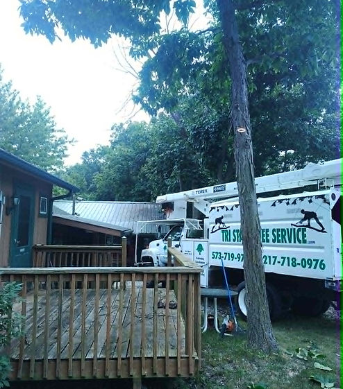 Tree trimming project in LaBelle, MO with Tri-State Tree Service bucket truck on site.
