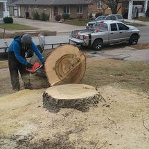 Tri-State Tree Service stump grinding after tree removal in Quincy, IL