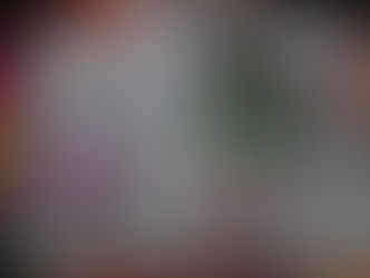 martha stewart weddings