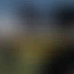 Professional football nutrition and performance training in Portugal