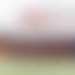 Quakes posing with SC Braga team