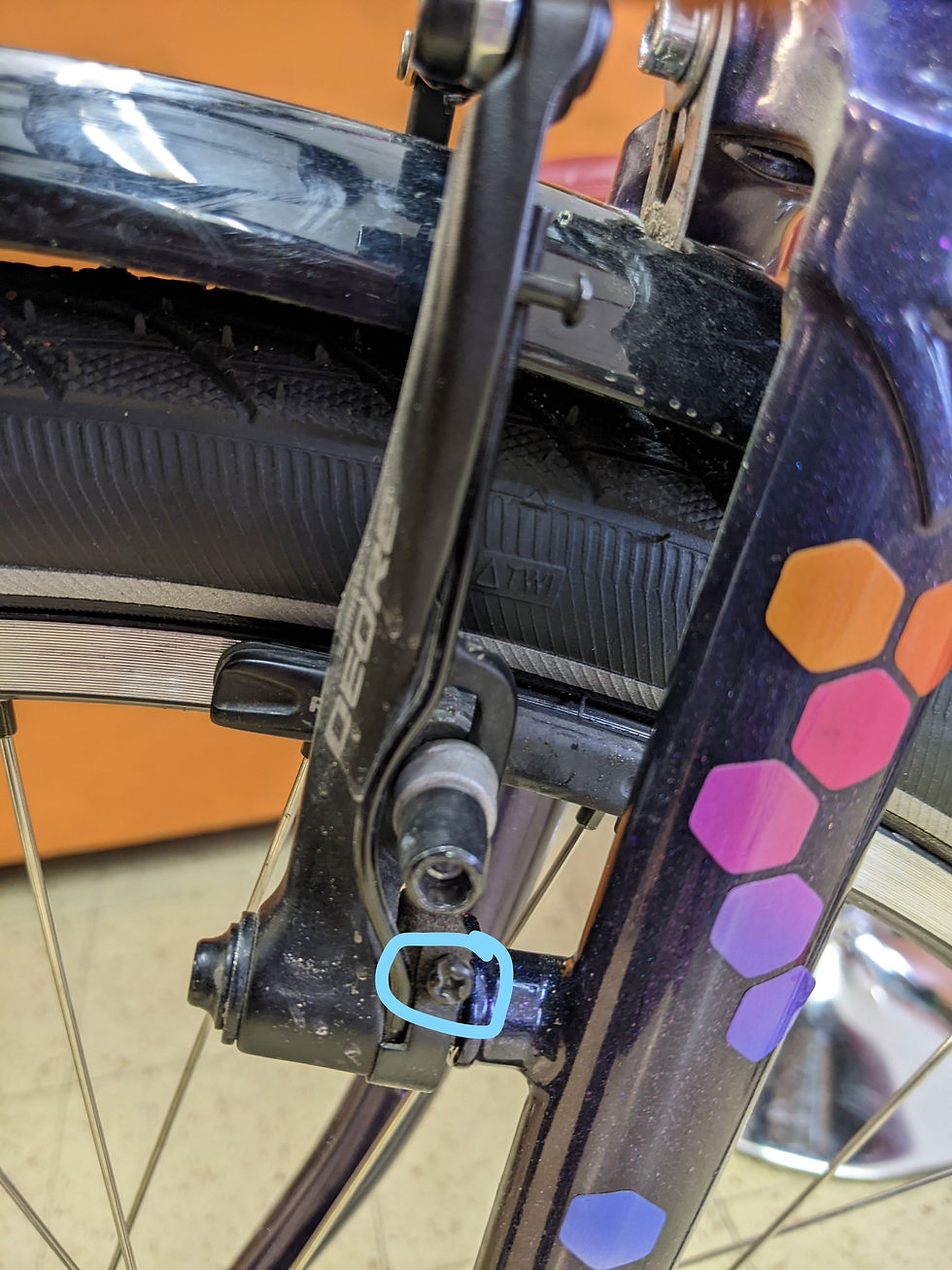side of the brake arm with tiny screw circled on the bottom