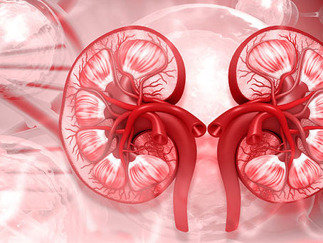 Chronic kidney disease