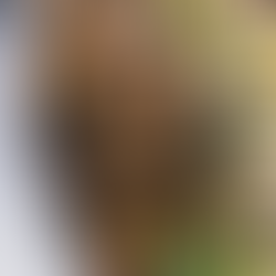 Italian Chicken Marinade