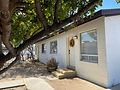 Copy of IMG_6262.jpg