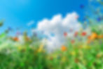 iStock-2164370004.jpg