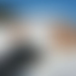 Top 3 reasons to build a garage and how it can save your marriage. A humoristic View.