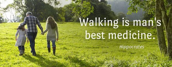 FIND A NEIGHBOURHOOD WALKING BUDDY!