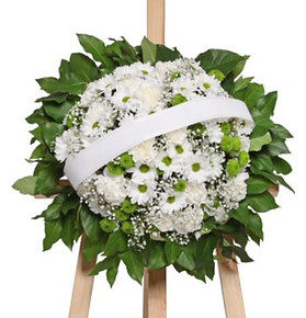 Captura de pantalla 2025-04-27 a la(s) 7