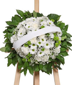 Captura de pantalla 2025-04-27 a la(s) 7.38.32 p.m._edited.jpg