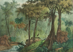 Percepções da natureza no tempo Cartaz oficia 22.png