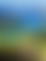 Queen Charlotte Track