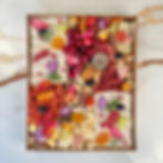 Grand SYDNEY 10 personnes