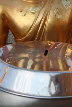 ronny haklay__www.masterspray