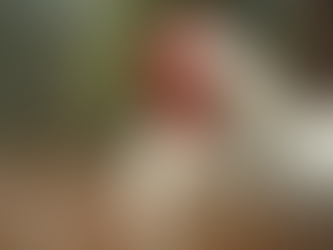 Organic Silkie Chicken Care Tips You Need to Know