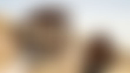 MOP construirá infraestructura portuaria con identidad changa en Caleta Hornitos