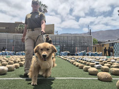 CARABINEROS DE ANTOFAGASTA REFUERZA ESTRATEGIA OPERATIVA CONTRA EL CRIMEN ORGANIZADO