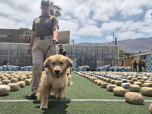 CARABINEROS DE ANTOFAGASTA REFUERZA ESTRATEGIA OPERATIVA CONTRA EL CRIMEN ORGANIZADO