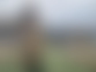 CARABINEROS DE ANTOFAGASTA REFUERZA ESTRATEGIA OPERATIVA CONTRA EL CRIMEN ORGANIZADO