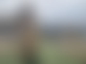 CARABINEROS DE ANTOFAGASTA REFUERZA ESTRATEGIA OPERATIVA CONTRA EL CRIMEN ORGANIZADO