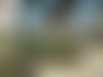 Cierran playa por caos en alcantarillado: aguas servidas invaden arena 🤮