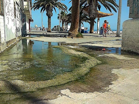 Cierran playa por caos en alcantarillado: aguas servidas invaden arena 🤮