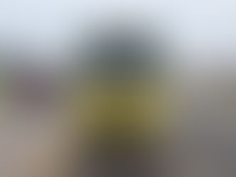 Carabineros detiene a conductor que intentó sobornar a funcionarios tras ingresar camión por ruta prohibida en Antofagasta