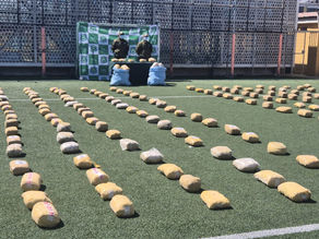 🚨🌄 Carabineros interceptan más de 400 kilos de marihuana en frontera altiplánica 🚔🍃