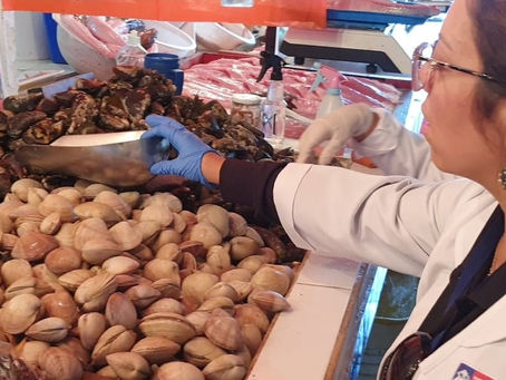 Análisis Semana Santa: 29 Sumarios y 8 Prohibiciones en Funcionamiento