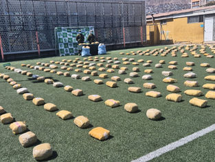Carabineros de frontera incautan más de 400 kilos de marihuana en altiplano de la Región de Antofagasta