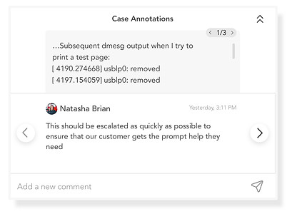 Case annotation copy.jpg