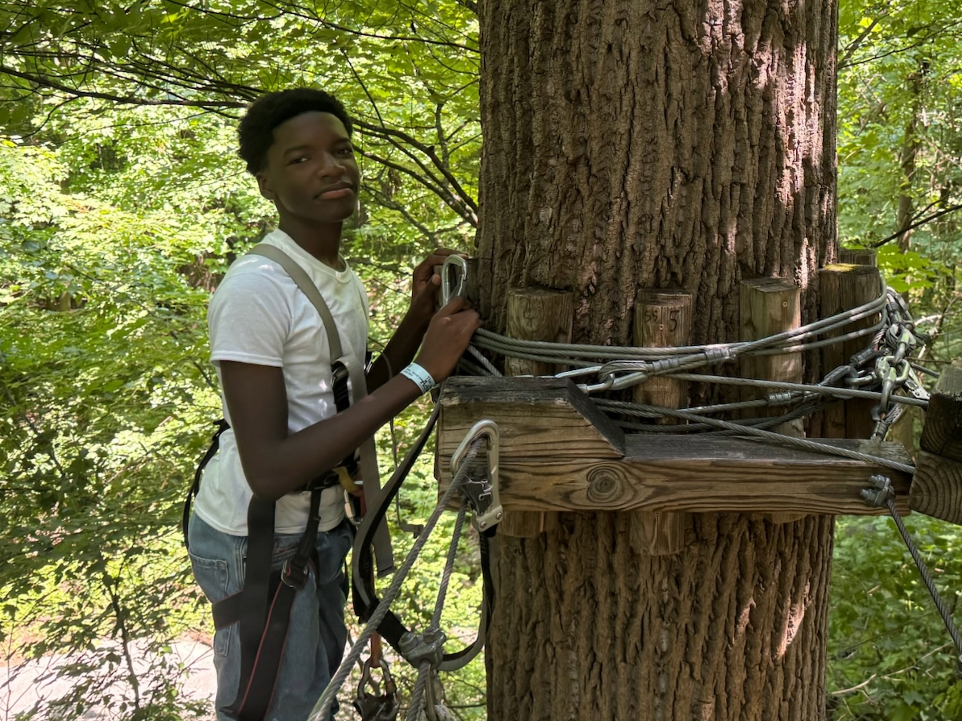 Student in a tree