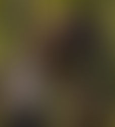 Feedback Time: She Hulk 