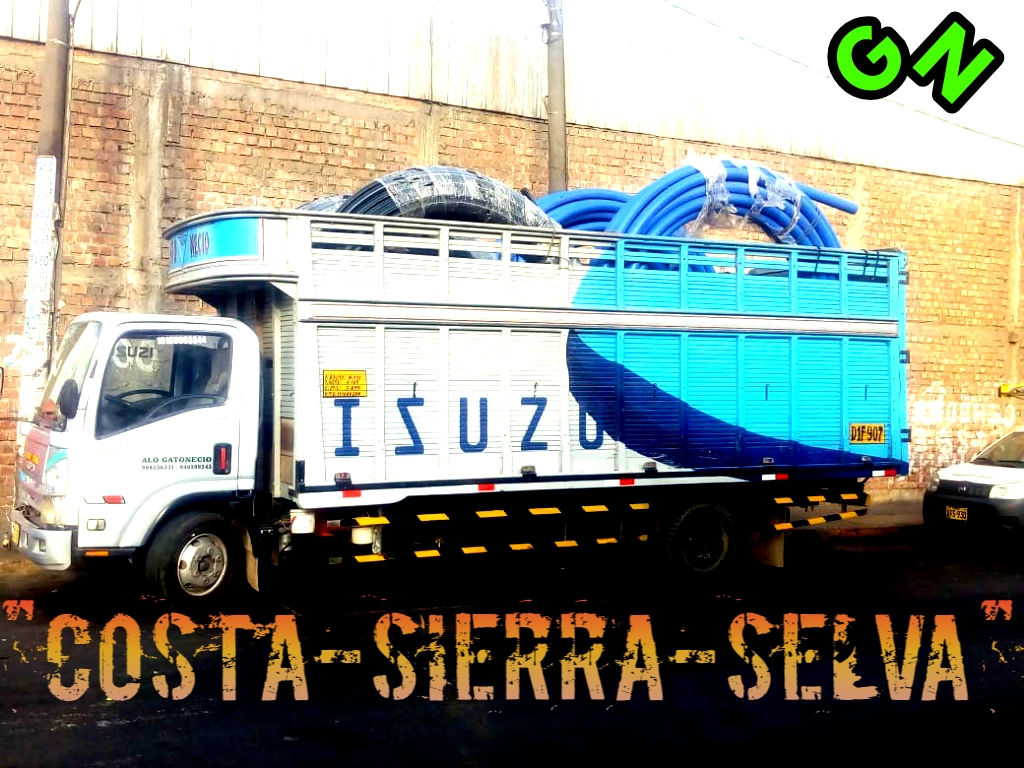 CAMION DE 5 TONELADAS