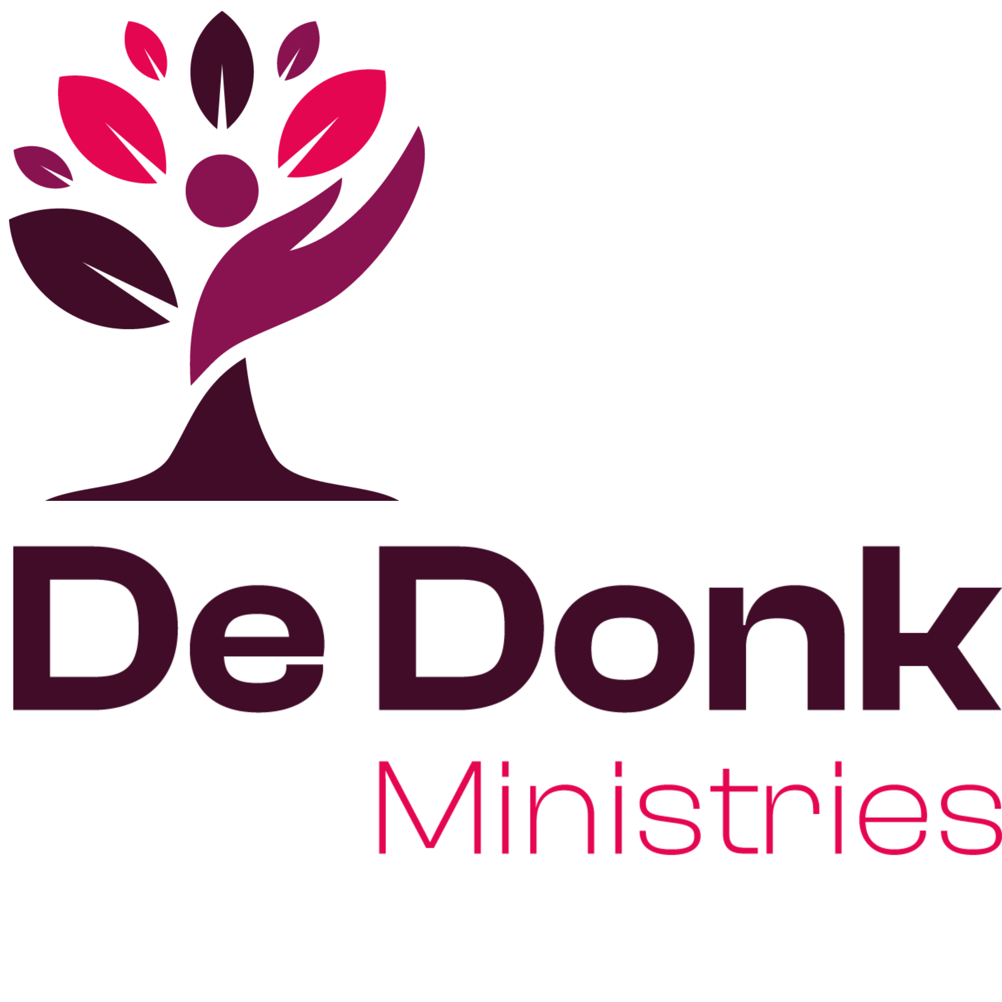 STICHTING DE DONK logo