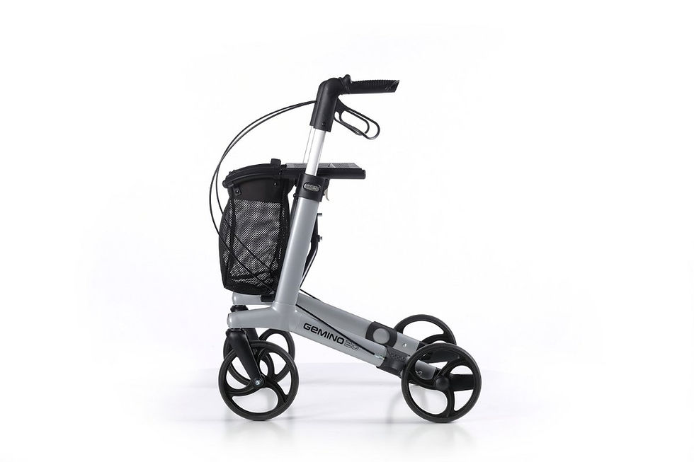 Miniature : ​Rollator Gemino 20 L