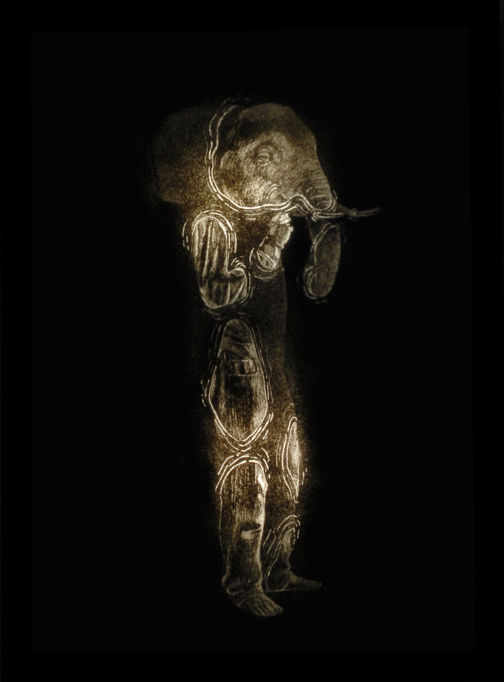 Ricordi riemergono dall' ombra