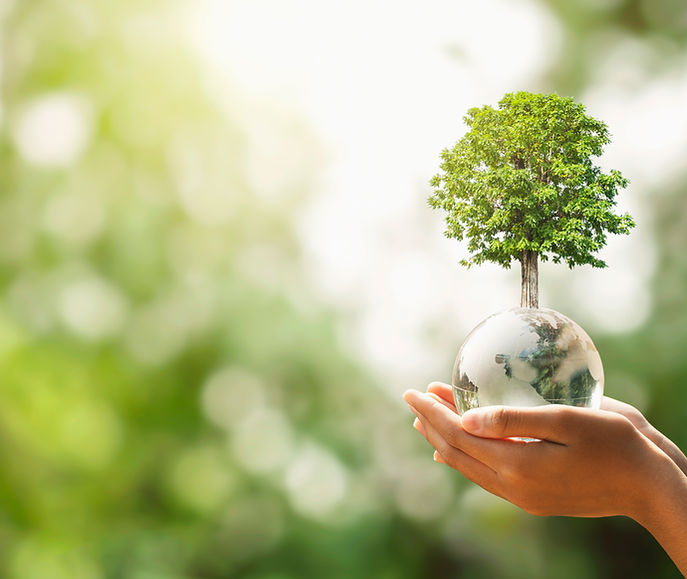 Tree in hands