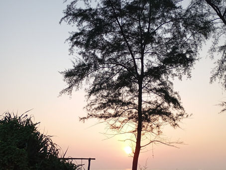 マレーシアの学校休暇と四季のある国の違い 🌞