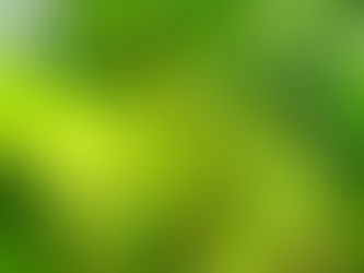 ウラムの発見: マレーシアの人気青菜 🥗