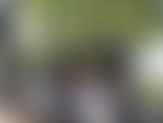 マレーシアの生活ペースに合わせる:期待と現実