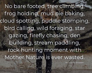 Quote from N. Sowder