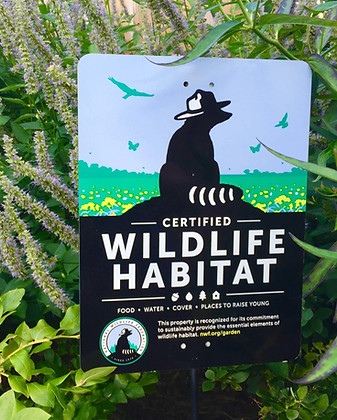 CWH-Sign-New-8-335170903-1-scaled_edited