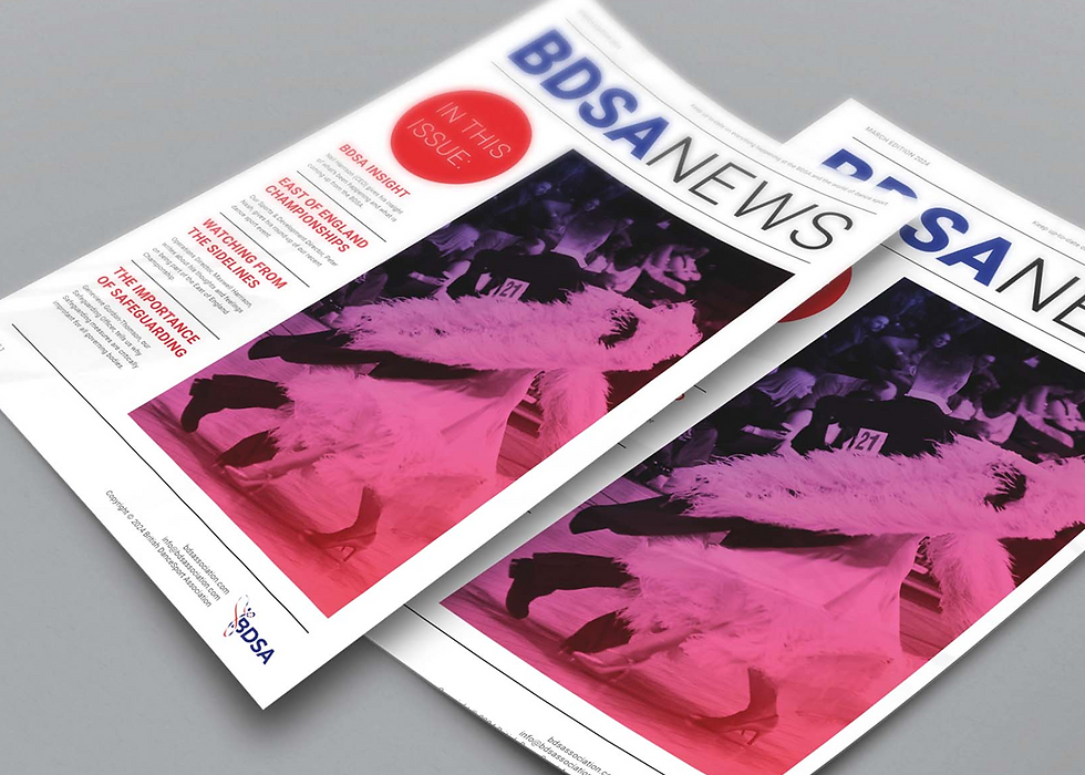 BDSA Case Study - Image 16.png