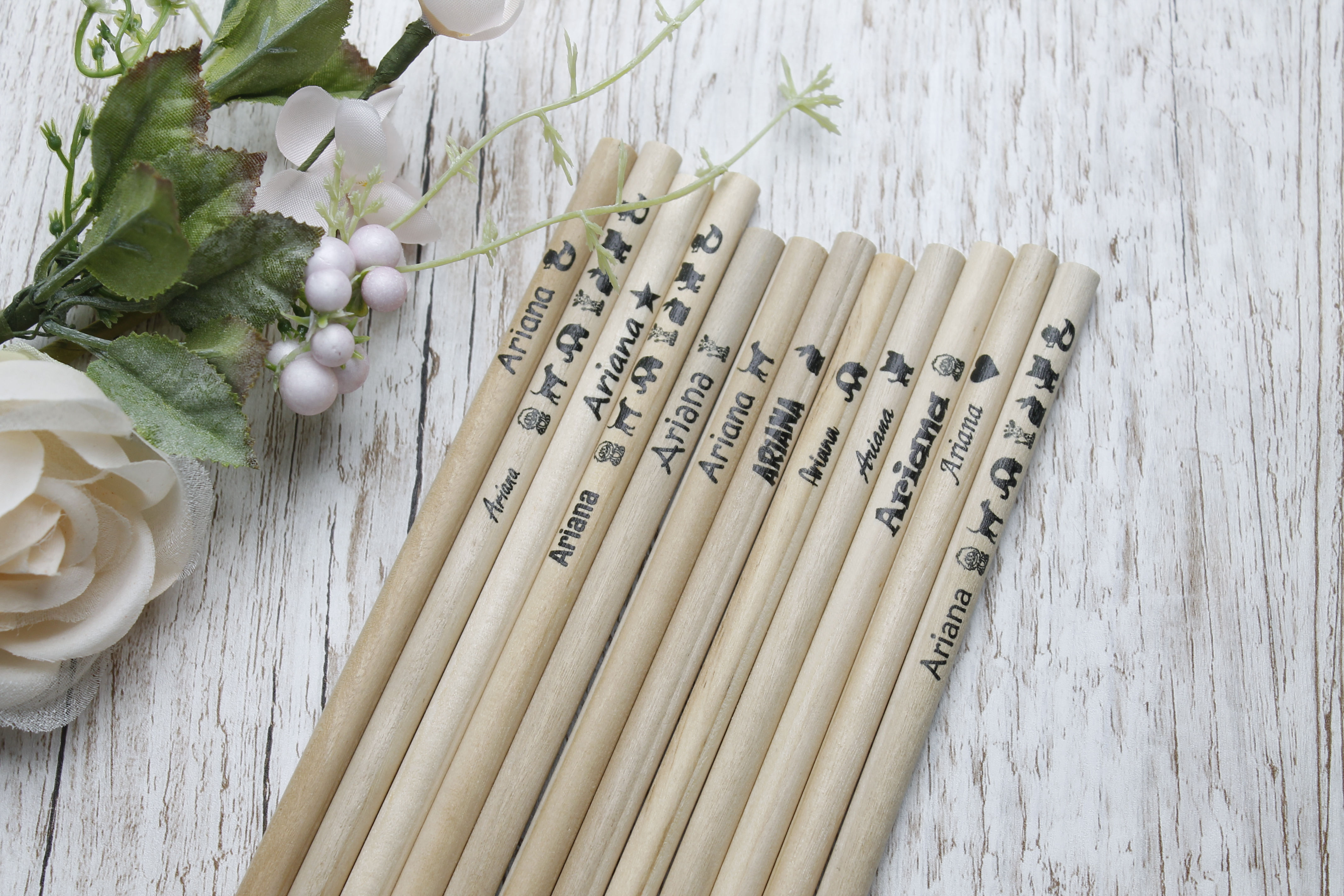 Animal print pencils | coloured pencils |Eco-friendly with 12 different colours
