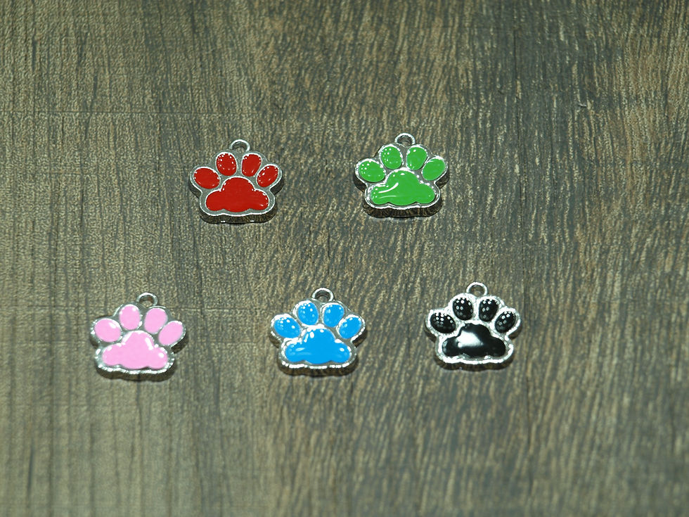 Thumbnail: Paw shape cat/dog tag Multi colored type1