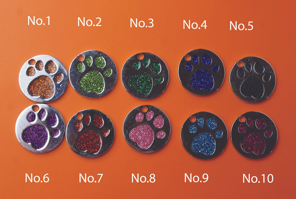 Thumbnail: Cat/Dog tag round paw print silver tag