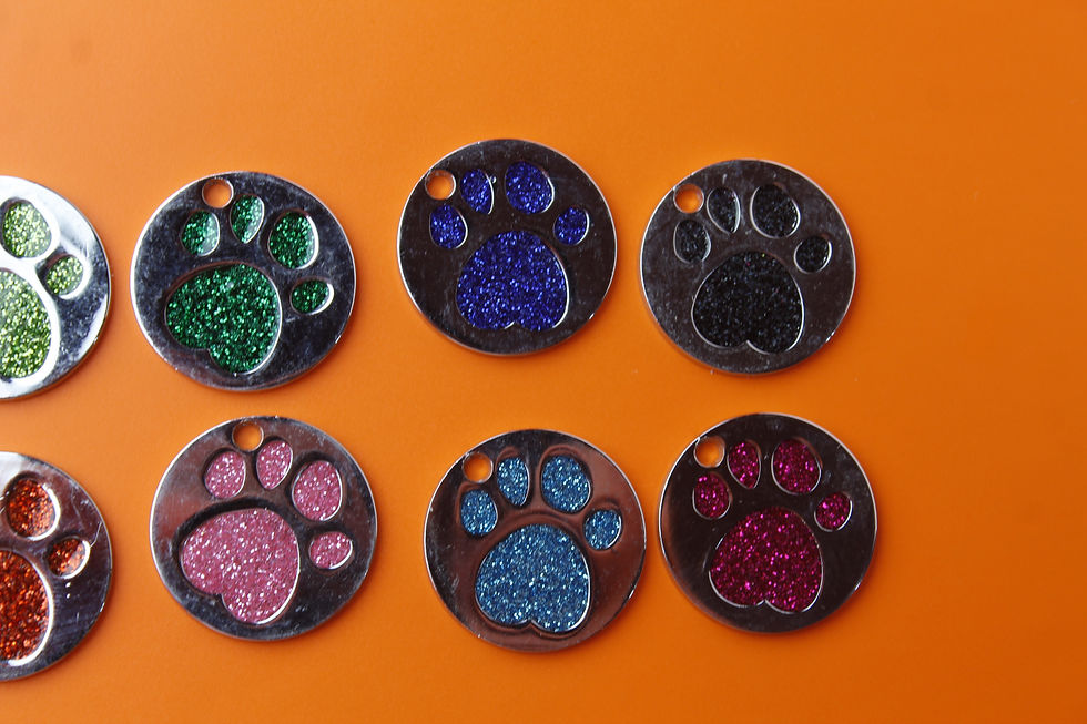 Thumbnail: Cat/Dog tag round paw print silver tag
