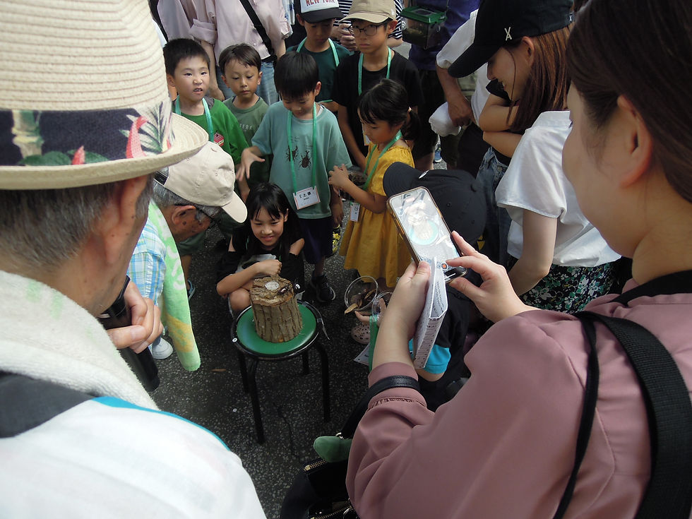 2025年7月6日久留米市シティプラザ六角堂でかぶと虫相撲大会